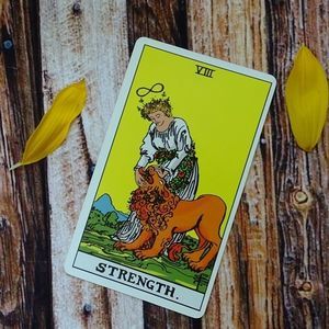 Meet your Posher, Jv